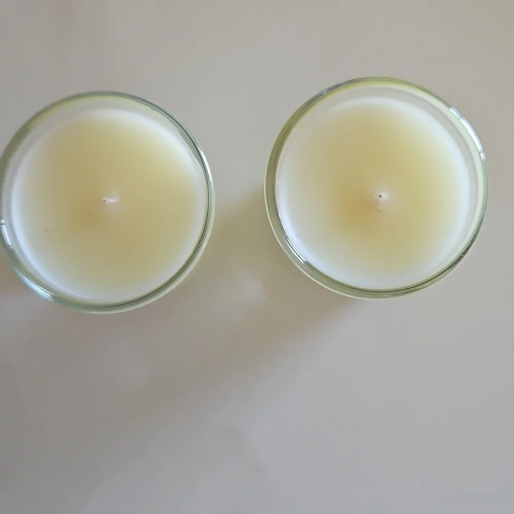NWT Diptyque Tuberose Candle Set - Saint Germain Limited